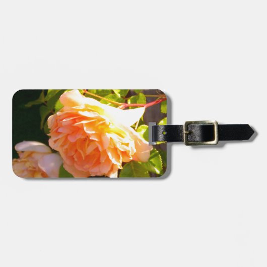 Étiquette À Bagage Elégant classique pêche orange rose floral (Devant horizontal)