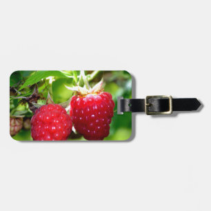 Étiquette À Bagage Elégante framboise rouge classique