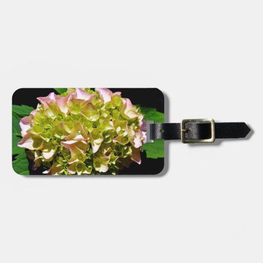 Étiquette À Bagage Elégantes hydrangées florales vertes et douces (Devant horizontal)