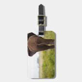 Étiquette À Bagage Eléphant (Devant Vertical)