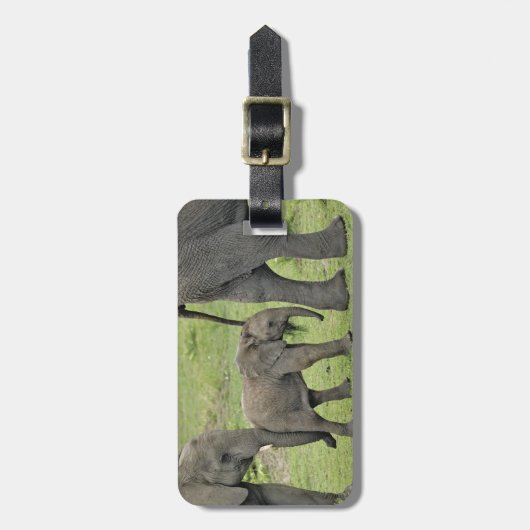 Étiquette À Bagage Eléphant africain avec bébé (Devant Vertical)