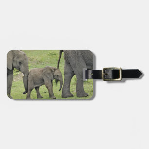Étiquette À Bagage Éléphant d'Afrique femelle avec bébé