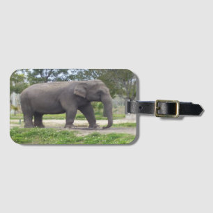 Étiquette À Bagage Éléphant dans un pré paisible