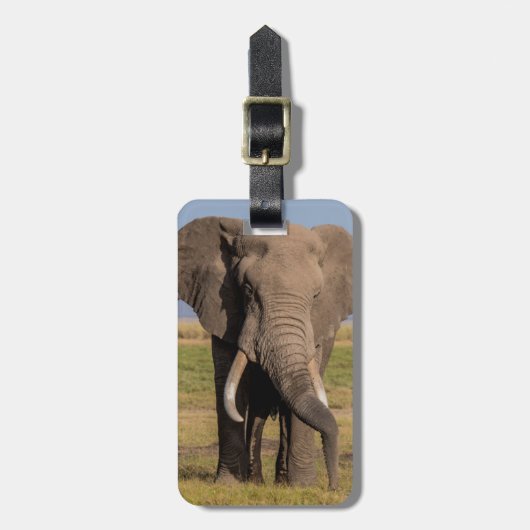 Étiquette À Bagage Éléphant en recherche (Devant Vertical)