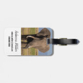 Étiquette À Bagage Éléphant en recherche (Dos horizontal)