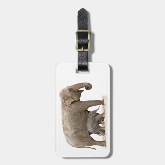 Étiquette À Bagage Eléphant mère et bébé (Devant Vertical)