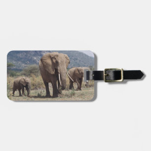 Étiquette À Bagage Éléphant mère marchant avec un éléphant jeune