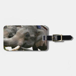 Étiquette À Bagage Éléphants asiatiques de alimentation bananes en