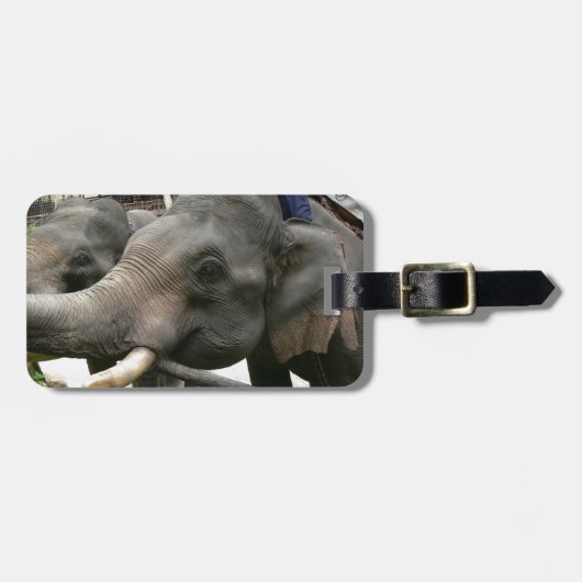 Étiquette À Bagage Éléphants asiatiques de alimentation bananes en (Devant horizontal)