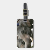 Étiquette À Bagage Éléphants asiatiques de alimentation bananes en (Devant Vertical)