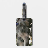 Étiquette À Bagage Éléphants asiatiques de alimentation bananes en (Dos Vertical)