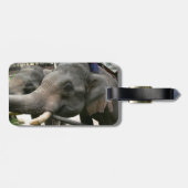 Étiquette À Bagage Éléphants asiatiques de alimentation bananes en (Dos horizontal)