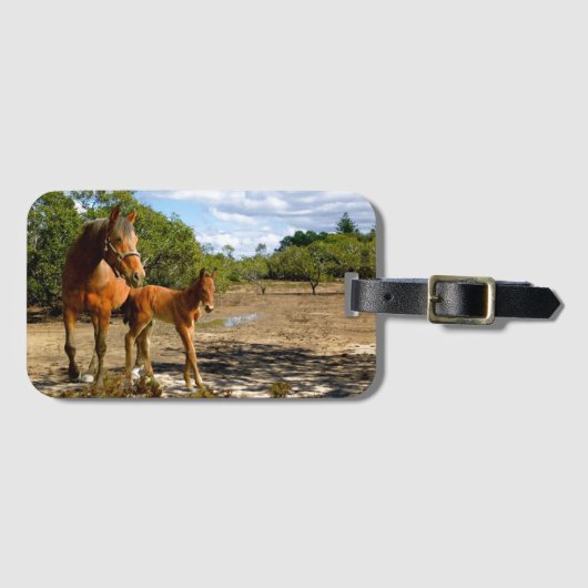 Étiquette À Bagage Équilibre (Devant Horizontal)