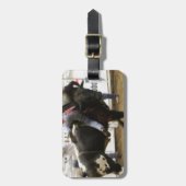 Étiquette À Bagage Équitation de Taureau (Devant Vertical)