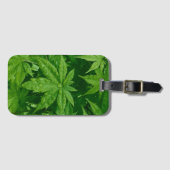 Étiquette À Bagage Érable au printemps (Devant Horizontal)