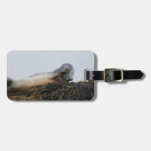 Étiquette À Bagage Éraflure de l'étiquette de bagage de joint (Devant horizontal)