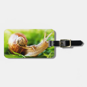 Étiquette À Bagage Escargots