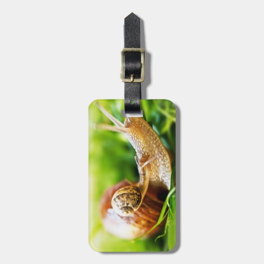 Étiquette À Bagage Escargots (Devant Vertical)