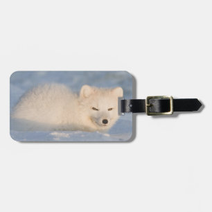 Étiquette À Bagage États-Unis, Alaska, Fox