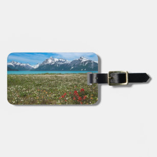 Étiquette À Bagage États-Unis, Alaska, Parc national de Glacier Bay 2
