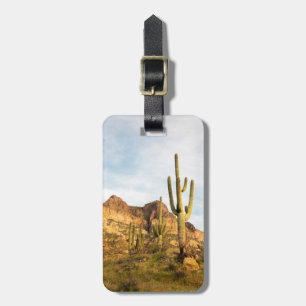Étiquette À Bagage États-Unis, Arizona, Tonto National Forest, Picket