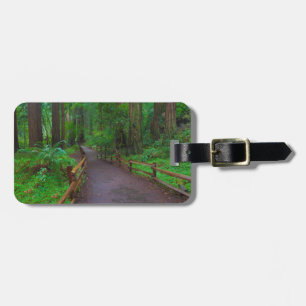 Étiquette À Bagage États-Unis, Californie. Chemin parmi les séquoias