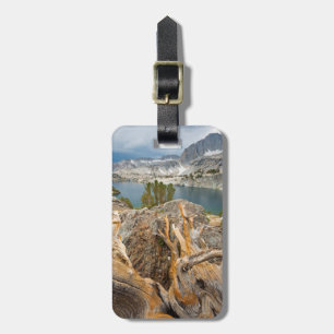 Étiquette À Bagage États-Unis, Californie, forêt nationale d'Inyo.