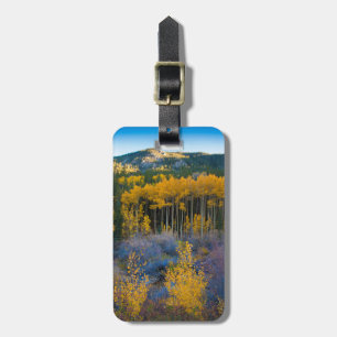 Étiquette À Bagage États-Unis, Colorado. Jaunes brillants peupliers f