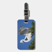 Étiquette À Bagage États-Unis, Floride, Saint-Augustine, Egret (Devant Vertical)