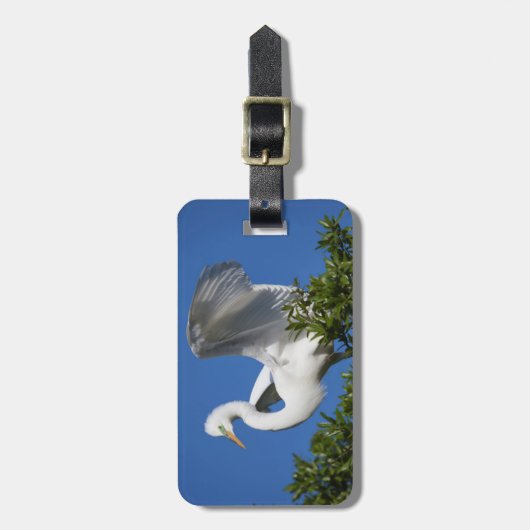 Étiquette À Bagage États-Unis, Floride, Saint-Augustine, Egret (Devant Vertical)