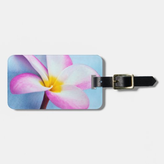 Étiquette À Bagage États-Unis, Hawaï, Oahu, fleurs de la plumeria en (Devant horizontal)