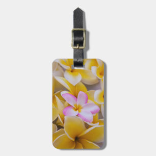 Étiquette À Bagage États-Unis, Hawaï, Oahu, Fleurs de plumeria en fle