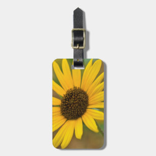 Étiquette À Bagage États-Unis, Kansas. Tournesol sauvage