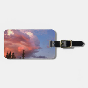Étiquette À Bagage États-Unis, Oregon, Forêt nationale d'Umpqua. Orag