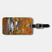 Étiquette À Bagage États-Unis, Tennessee. Ruisseau Rushing Mountain (Devant horizontal)