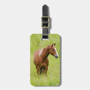 Étiquette À Bagage États-Unis, Washington, Cheval dans un champ print