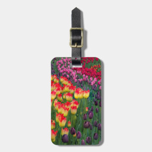 Étiquette À Bagage États-Unis, Washington. Tulipes en fleurs 2
