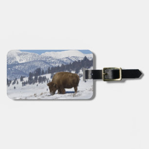 Étiquette À Bagage États-Unis, WY, Parc national de Yellowstone, Biso