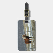 Étiquette À Bagage Étiquette Cheval Belge En Bagage Paddock (Devant Vertical)