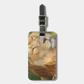 Étiquette À Bagage Étiquette de bagage - customisée (Devant Vertical)