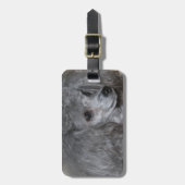 Étiquette À Bagage Étiquette de bagage - customisée (Devant Vertical)