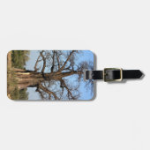 Étiquette À Bagage Étiquette de bagage d'arbre de baobab (Devant horizontal)