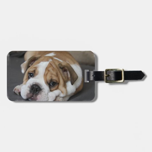 Étiquette À Bagage Étiquette de bagage de bouledogue de sommeil (Devant horizontal)