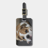 Étiquette À Bagage Étiquette de bagage de bouledogue de sommeil (Devant Vertical)