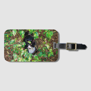 Étiquette À Bagage Étiquette de bagage de chat