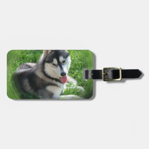 Étiquette À Bagage Étiquette de bagage de chien Husky sibérien