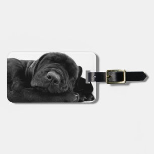 Étiquette À Bagage Étiquette de bagage de chiot labrador endormi