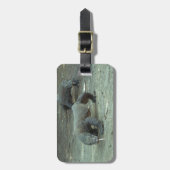 Étiquette À Bagage Étiquette de bagage de dragon de Komodo (Devant Vertical)