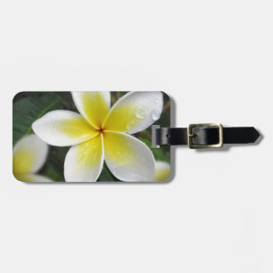 Étiquette À Bagage Étiquette de bagage de Frangipani et de gouttes de