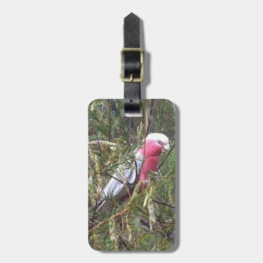 Étiquette À Bagage Étiquette de bagage de Galah (Devant Vertical)